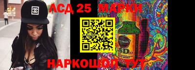 a pvp Новодвинск