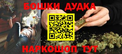 a pvp Новодвинск