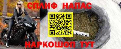 прущие крисы Новозыбков