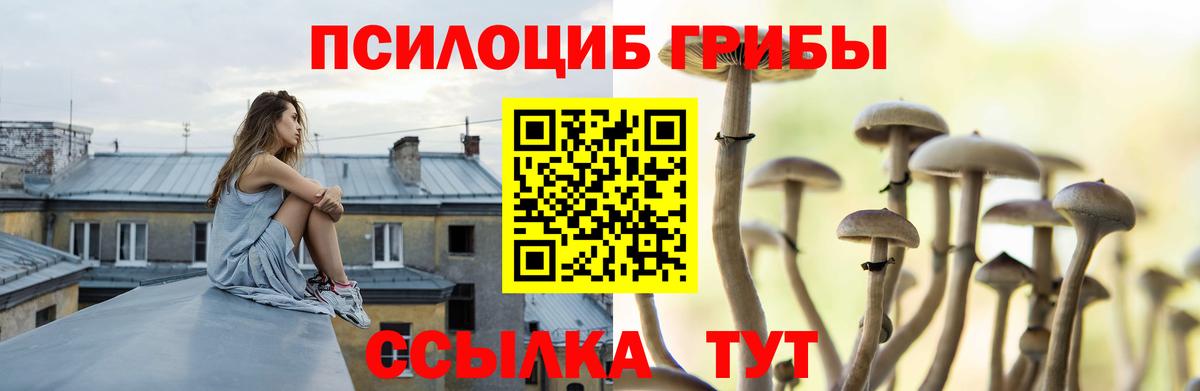 Галлюциногенные грибы Psilocybe  Вход с VPN  Самара 